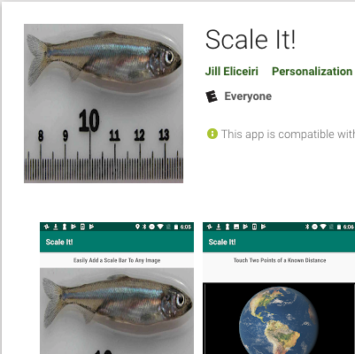 Scale It App Image